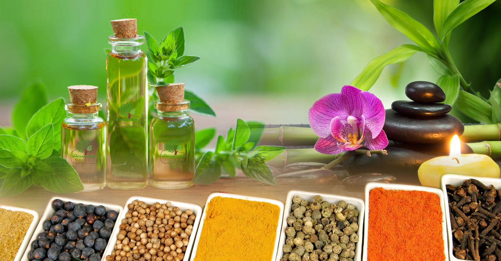 anuram foods